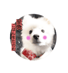 ぽんぷくん！！！！（個別スタンプ：22）
