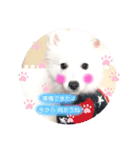 ぽんぷくん！！！！（個別スタンプ：23）