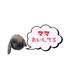 うちの子シリーズ『うさぎ4家族』②（個別スタンプ：1）