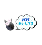 うちの子シリーズ『うさぎ4家族』②（個別スタンプ：2）
