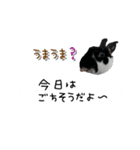 うちの子シリーズ『うさぎ4家族』②（個別スタンプ：8）