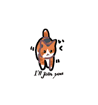 かわいいブリショと三毛猫（個別スタンプ：2）