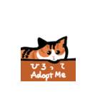 かわいいブリショと三毛猫（個別スタンプ：6）
