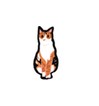 かわいいブリショと三毛猫（個別スタンプ：12）