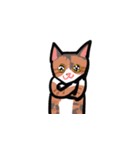 かわいいブリショと三毛猫（個別スタンプ：24）