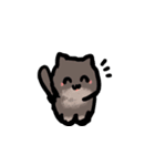 かわいいブリショと三毛猫（個別スタンプ：27）
