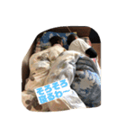 がりけ。（個別スタンプ：19）