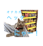 シャルトリューのルイくん（個別スタンプ：12）
