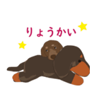 るいのスタンプ！（個別スタンプ：2）