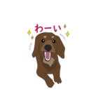 るいのスタンプ！（個別スタンプ：3）