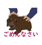 るいのスタンプ！（個別スタンプ：8）