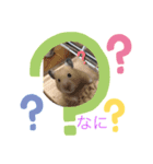 ゴールデンハムスター キンクマ（個別スタンプ：2）
