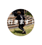 CODE:[VALS] LINEスタンプ（個別スタンプ：7）