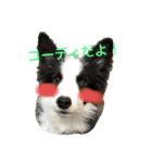 Team LKC（個別スタンプ：3）