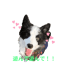 Team LKC（個別スタンプ：6）