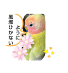 kawafamily番外編（個別スタンプ：2）