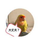 kawafamily番外編（個別スタンプ：3）