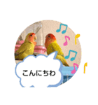 kawafamily番外編（個別スタンプ：4）
