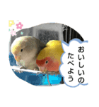 kawafamily番外編（個別スタンプ：5）