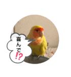 kawafamily番外編（個別スタンプ：6）