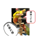 kawafamily番外編（個別スタンプ：7）