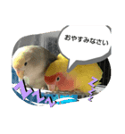 kawafamily番外編（個別スタンプ：8）