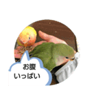 kawafamily番外編（個別スタンプ：9）