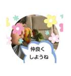 kawafamily番外編（個別スタンプ：10）