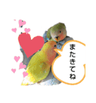 kawafamily番外編（個別スタンプ：11）