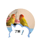 kawafamily番外編（個別スタンプ：12）