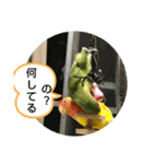 kawafamily番外編（個別スタンプ：13）