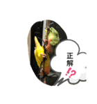 kawafamily番外編（個別スタンプ：15）