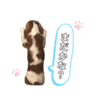 cavalier moi ！（個別スタンプ：20）