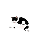 私ははちわれねこです（個別スタンプ：3）