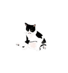私ははちわれねこです（個別スタンプ：5）