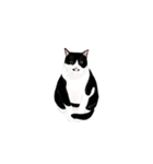 私ははちわれねこです（個別スタンプ：8）