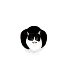 私ははちわれねこです（個別スタンプ：9）