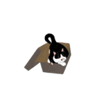 私ははちわれねこです（個別スタンプ：12）