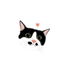 私ははちわれねこです（個別スタンプ：13）