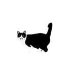 私ははちわれねこです（個別スタンプ：15）