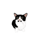 私ははちわれねこです（個別スタンプ：18）