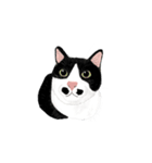私ははちわれねこです（個別スタンプ：23）