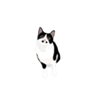 私ははちわれねこです（個別スタンプ：24）