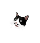 私ははちわれねこです（個別スタンプ：29）