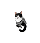 私ははちわれねこです（個別スタンプ：31）