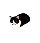 私ははちわれねこです（個別スタンプ：32）