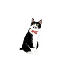 私ははちわれねこです（個別スタンプ：33）