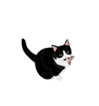 私ははちわれねこです（個別スタンプ：34）
