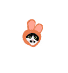 私ははちわれねこです（個別スタンプ：35）