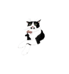 私ははちわれねこです（個別スタンプ：36）